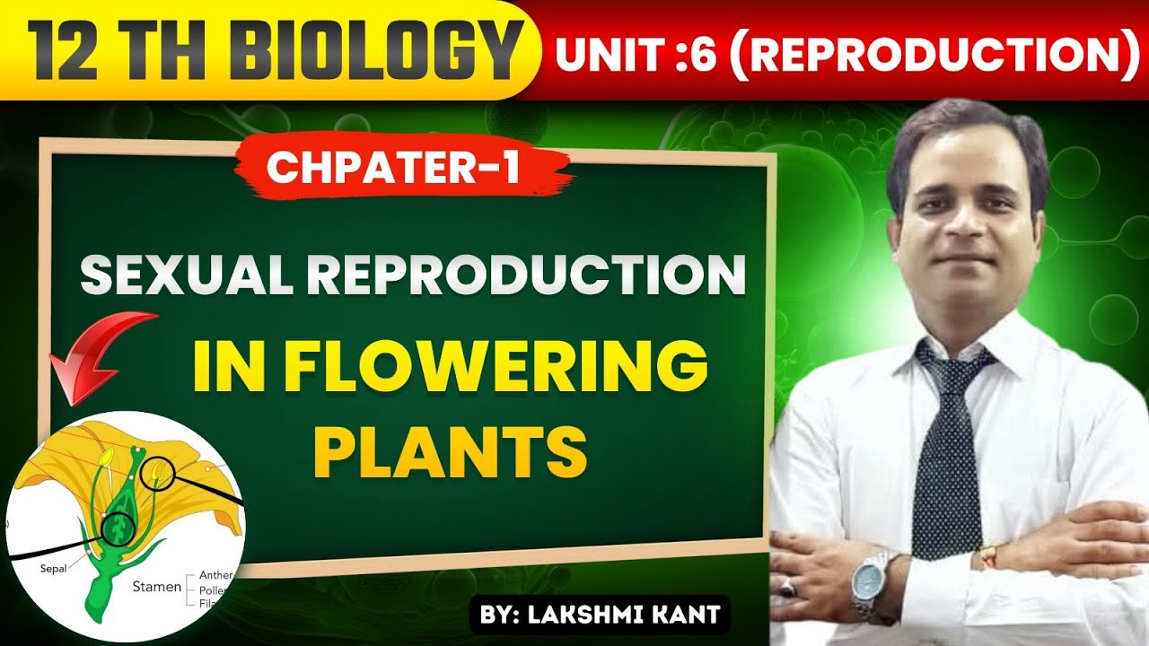Sexual Reproduction in Flowering Plants Explained Simply. By- Lakshmi Kant