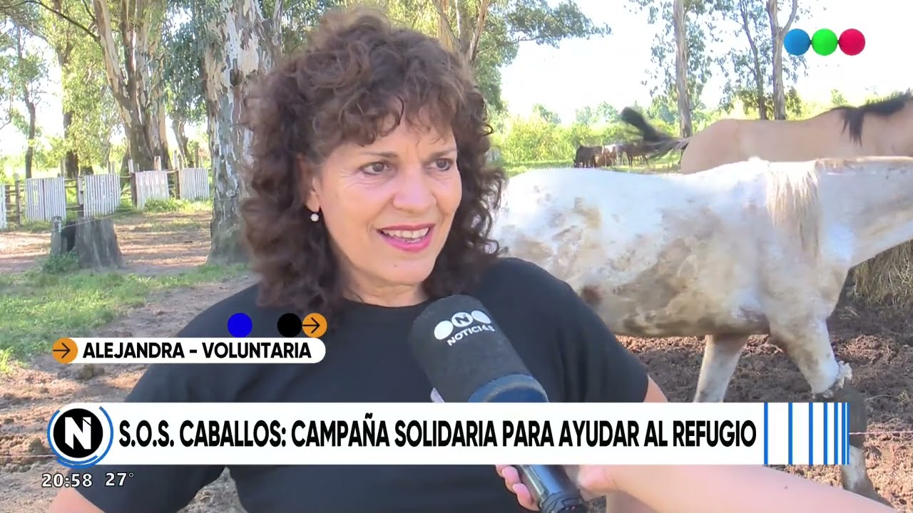S.O.S Caballos y una nueva campaña solidaria para ayudar al refugio