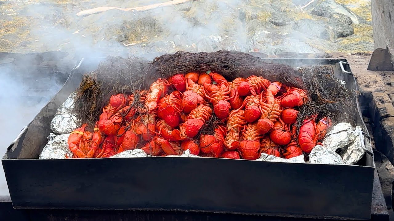 300 LOBSTERS, Clams New England Clambake at Cabbage Island | SELLS OUT Every Year!