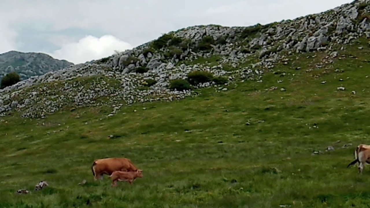 En lo alto del Angliru. Riosa. Asturias.