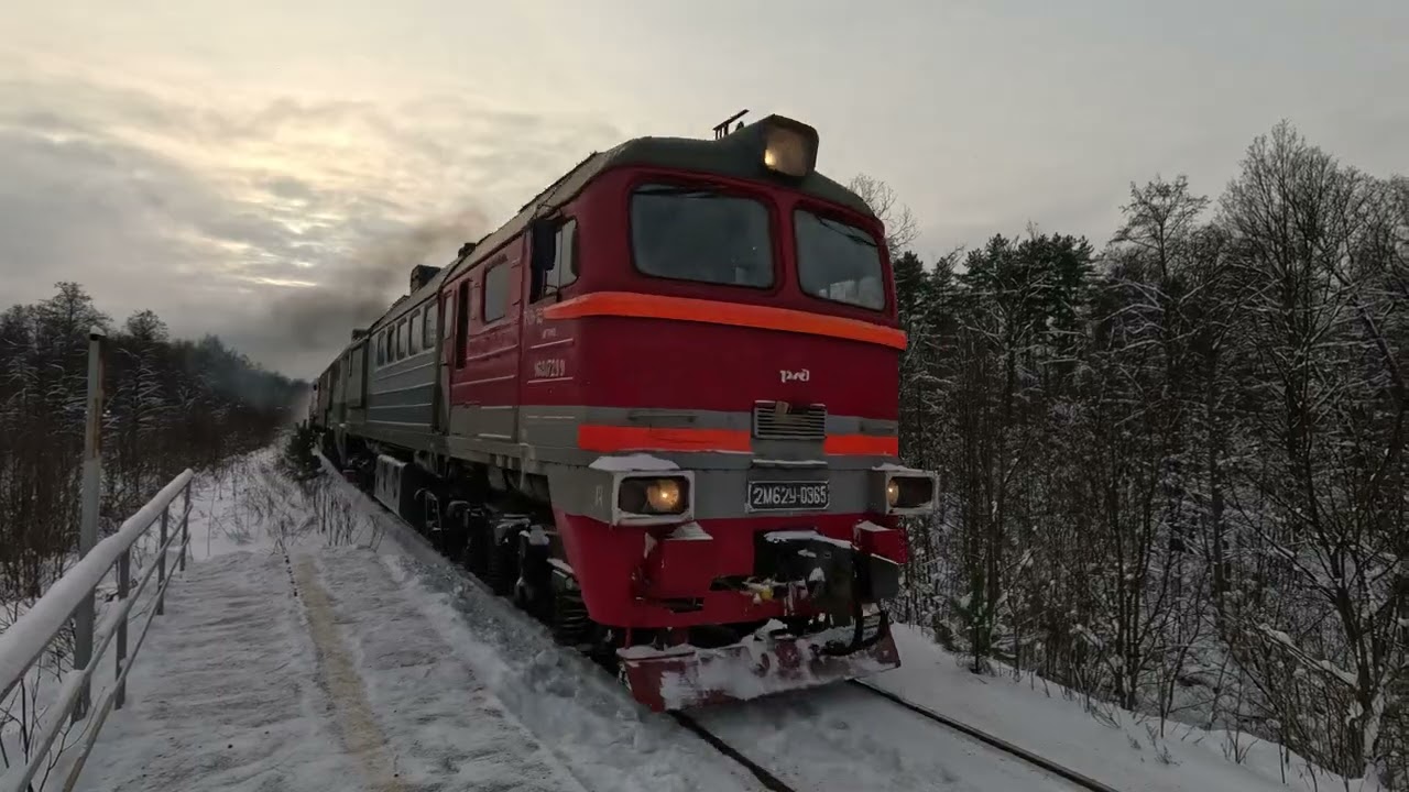 Тепловоз 2М62У-0365 с грузовым поездом на линии Владимир-Тумская (Судогодский р-н,Владимирcкая обл.)