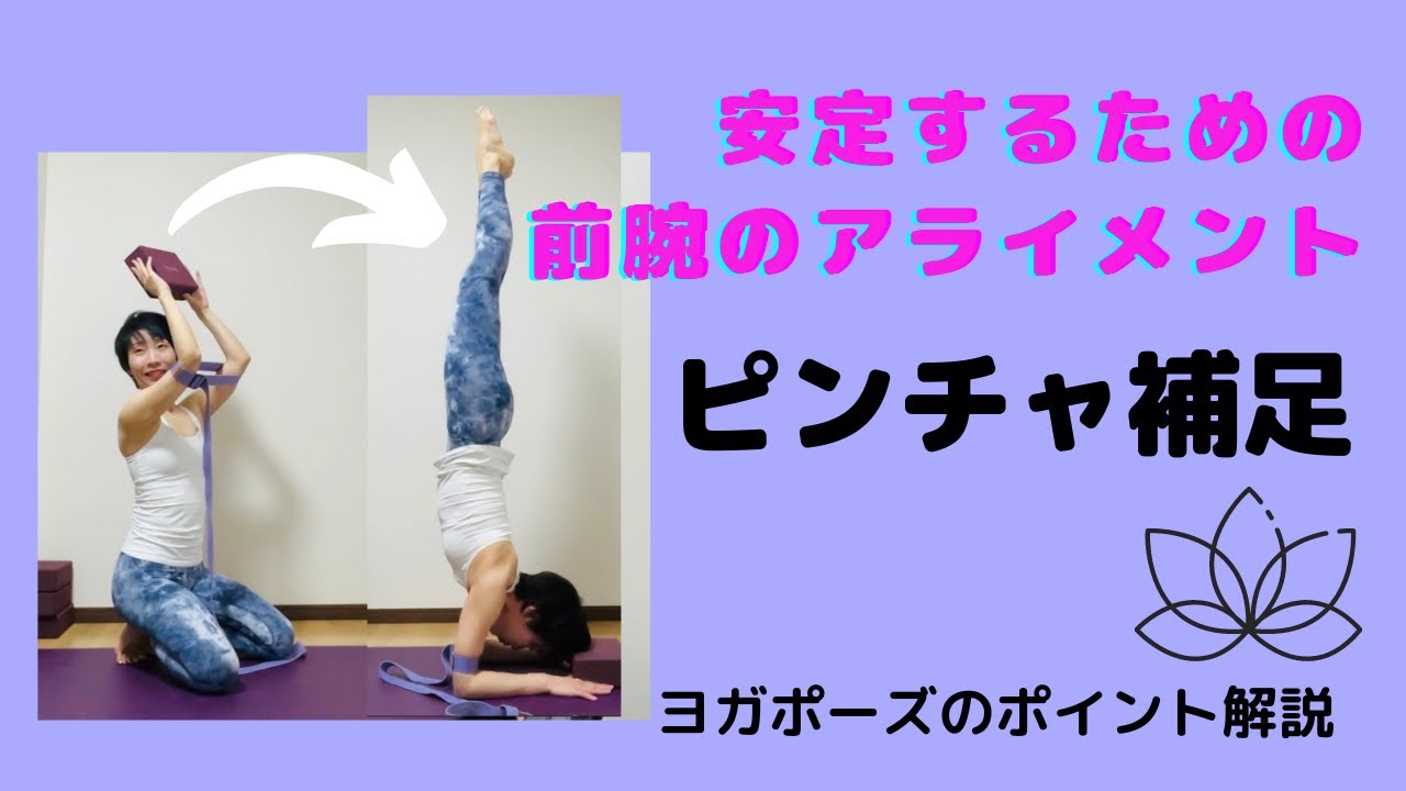 【ヨガポーズのポイント解説】ピンチャ補足　安定するための前腕のアライメント