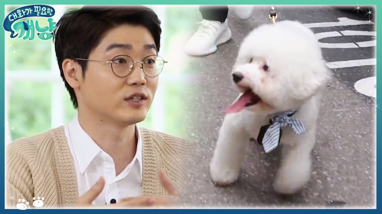 디디는 태생이 셀럽견? 수의사 설채현의 디디 심리 분석👀 | #대화가필요한개냥 EP5 #02