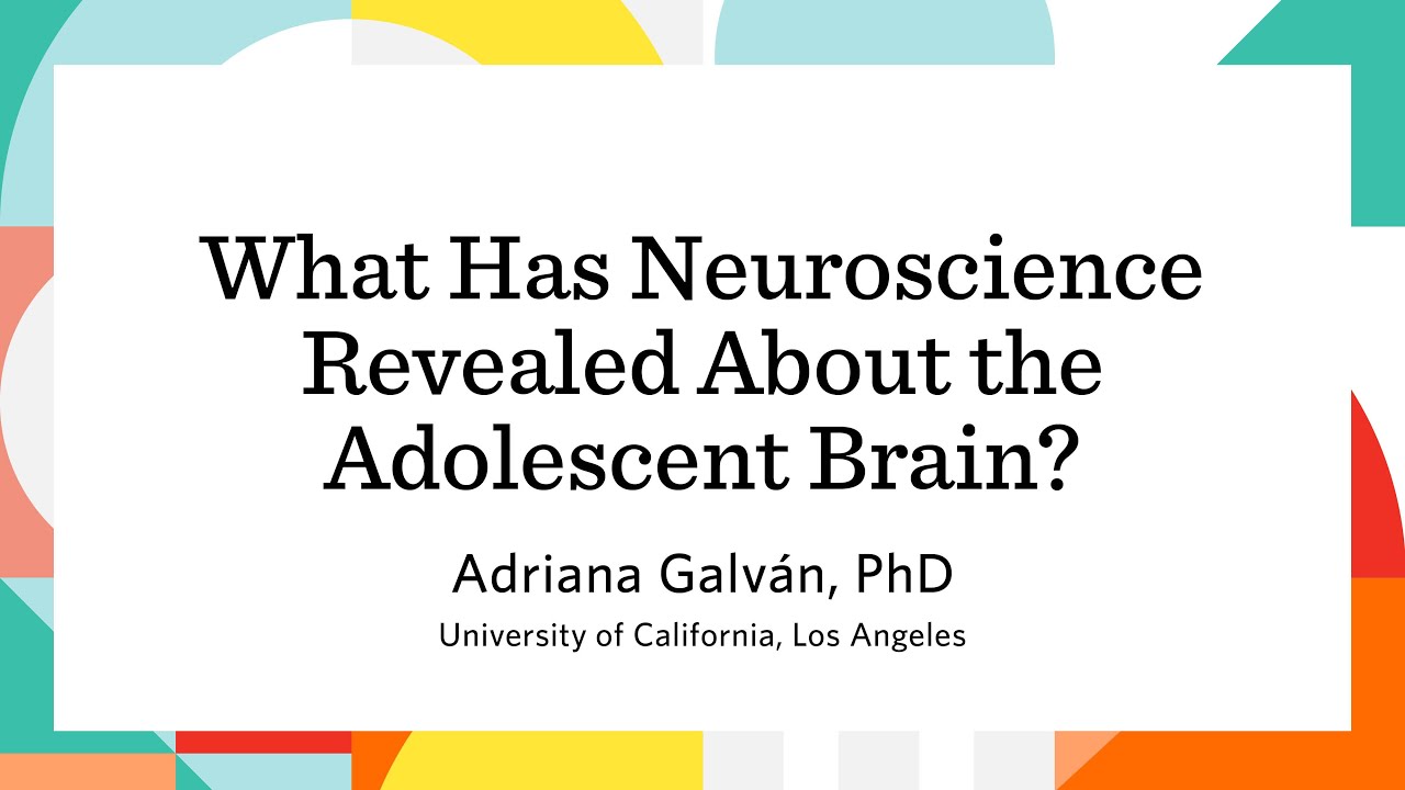 What Has Neuroscience Revealed About the Adolescent Brain?