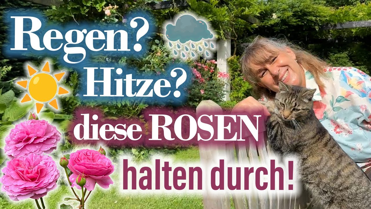 Welche ROSEN überstehen HITZE - und Regen - gut? ➡️ 60+ Rosen erklärt – Rundgang im Rosengarten 🌹☔