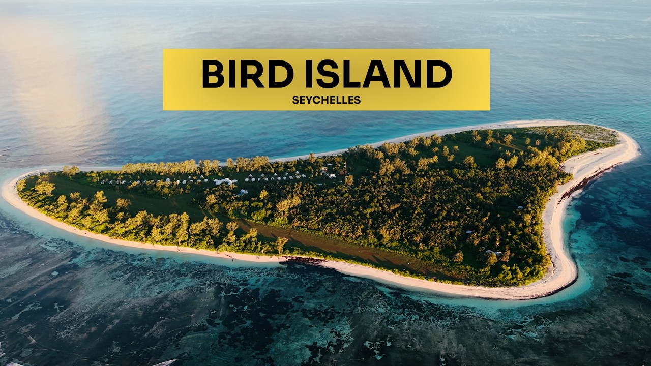 Exploring Bird Island (Seychelles): Island Tour & Travel Tips