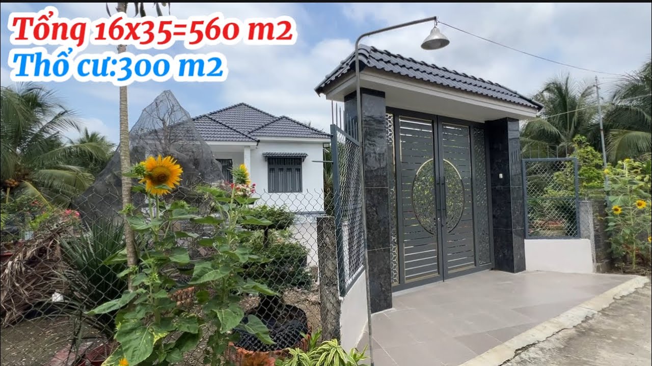 T.3270 đẹp quá trời luôn đường xe ôtô 16x35 có 300 m2 thổ cư gần thành phố Mỹ Tho tiền giang luôn 