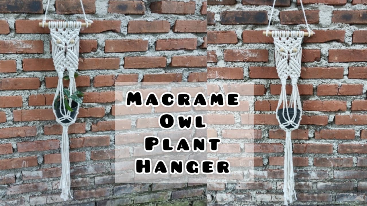 DIY Macrame Owl || Macrame Owl Plant Hanger || Macrame Owl Wall Hanging Tutorial || Air Plant hanger