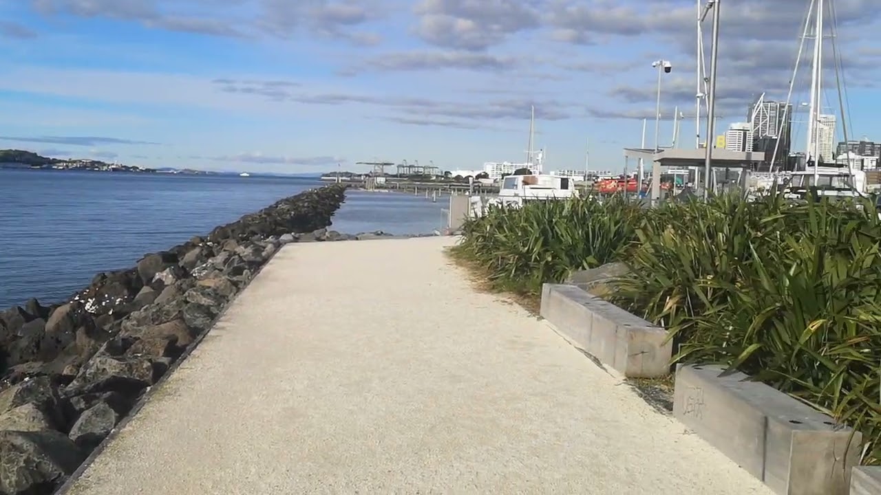 AUCKLAND Harbour Views. 