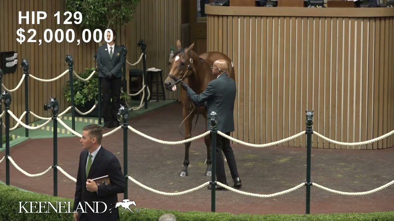 Lush Lush (GB) sells for $3.7 million at Keeneland November