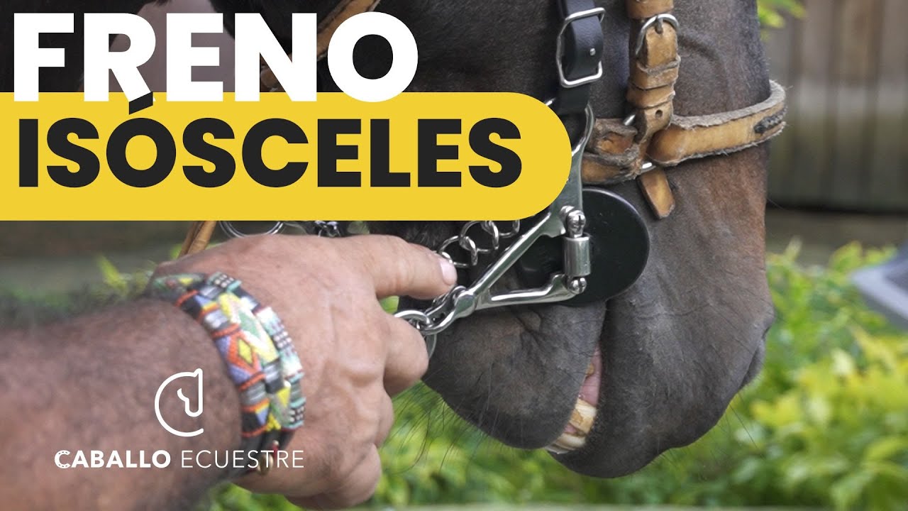 Frenos y embocaduras para caballos  - FRENO ISÓSCELES  articulado