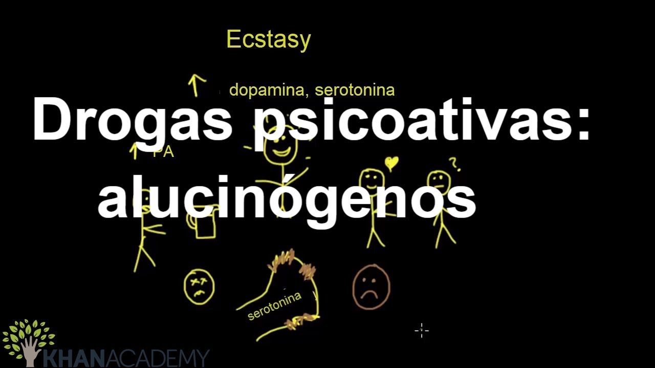 Drogas psicoativas: alucinógenos | Saúde e medicina saúde mental | Khan Academy