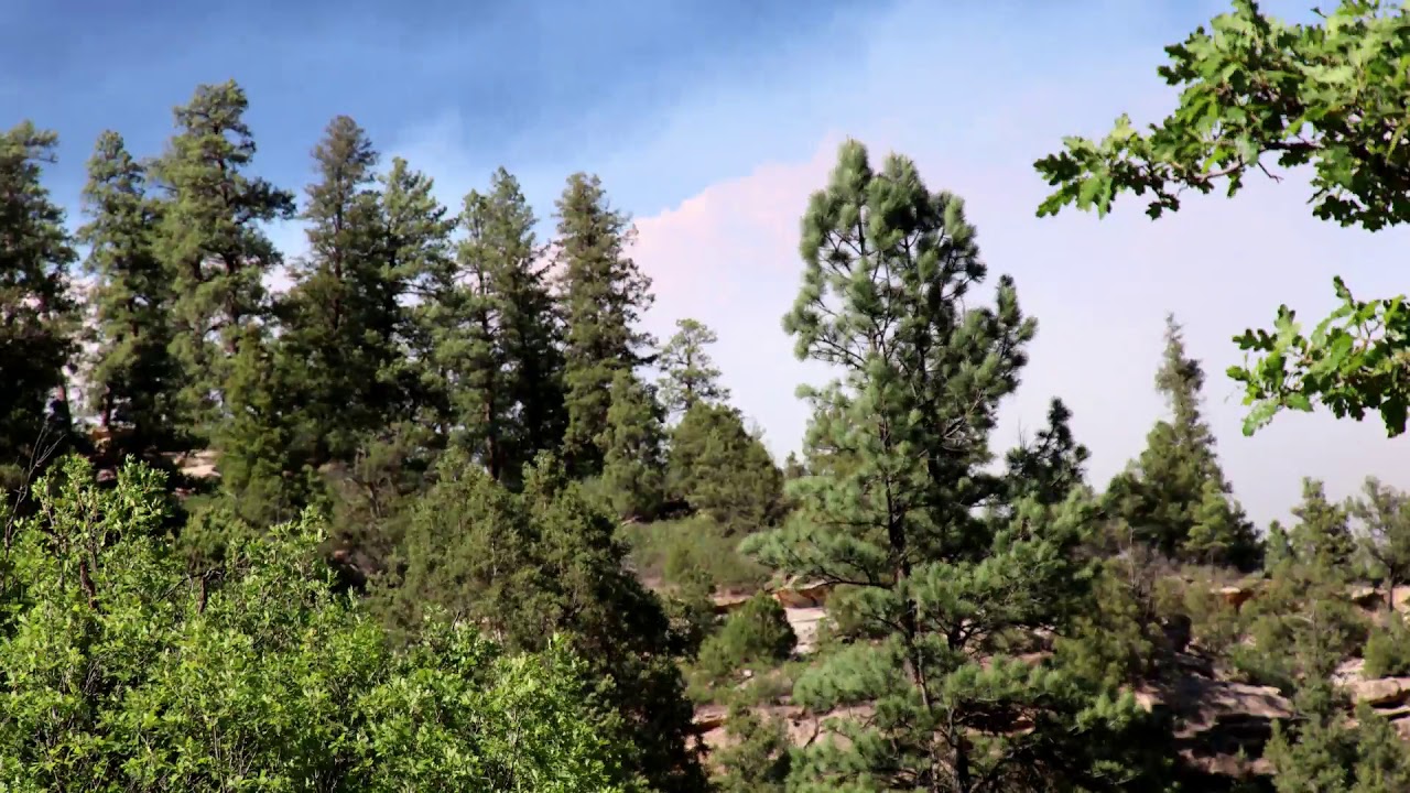 Time Lapse 416 Fire