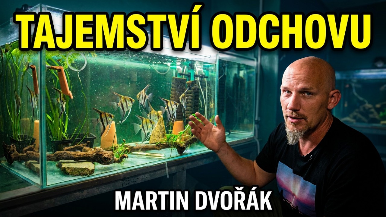 Jak rozmnožovat akvarijní ryby | KOMPLETNÍ NÁVOD OD A DO Z | Martin Dvořák (Botanická zahrada Praha)