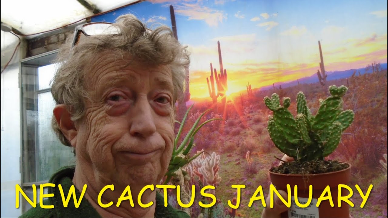 New Cactus January #cactuscollection