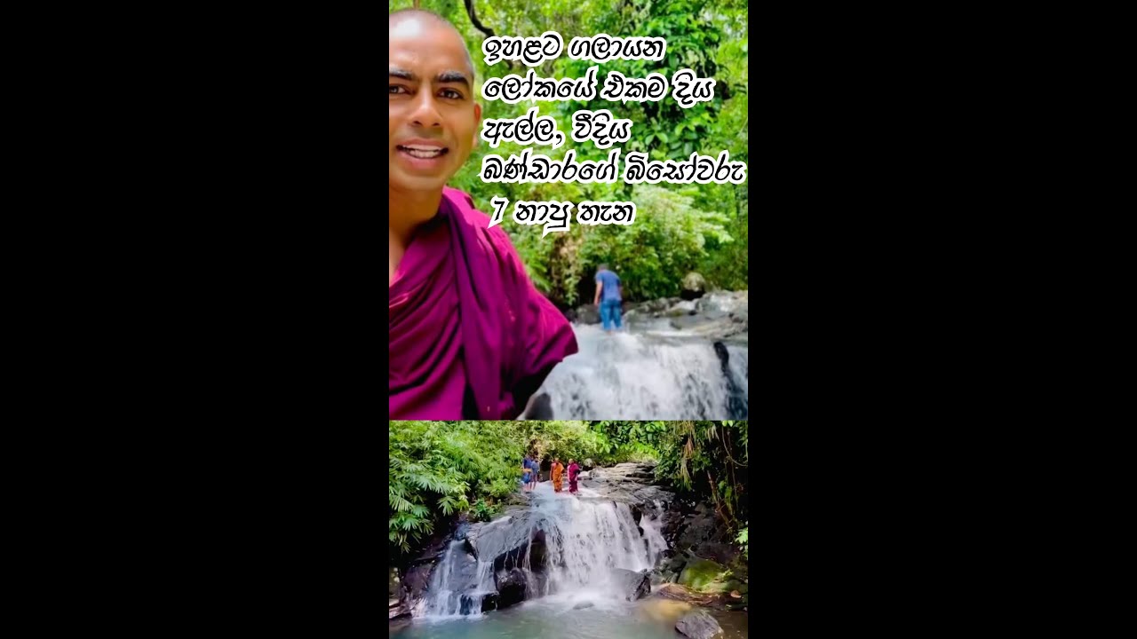 ඉහළට ගලායන ලෝකය එකම දිය ඇල්ල, වීදිය බණ්ඩාරගේ බිසෝවරු 7 නාපු තැන  #sandagiriseya #sandagiri_seya