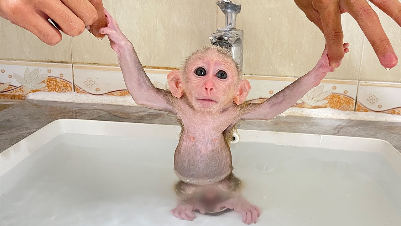 Super Cute! Cubis Gets Diaper Changed and Bathed Dad
