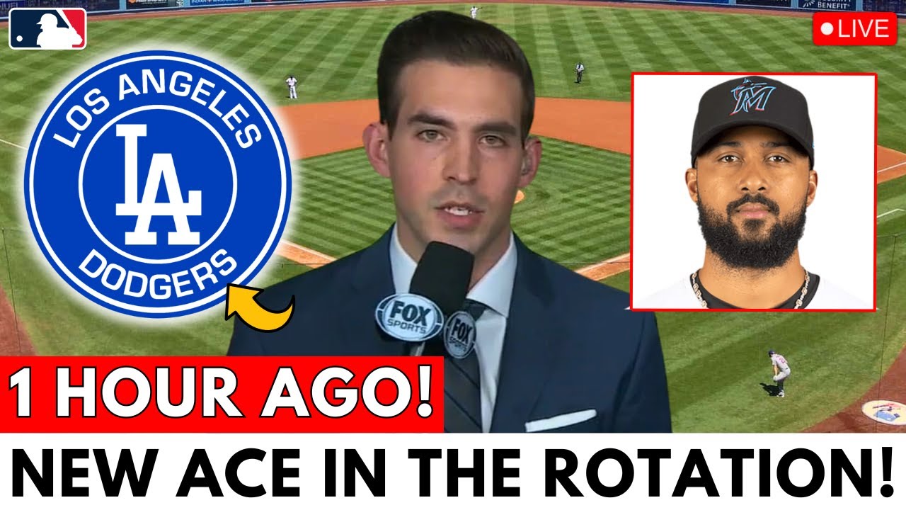 MASSIVE TRADE! DODGERS SIGNING WITH MARLINS STAR PITCHER! NEW ACE IN THE 2025 ROSTER? Dodgers News
