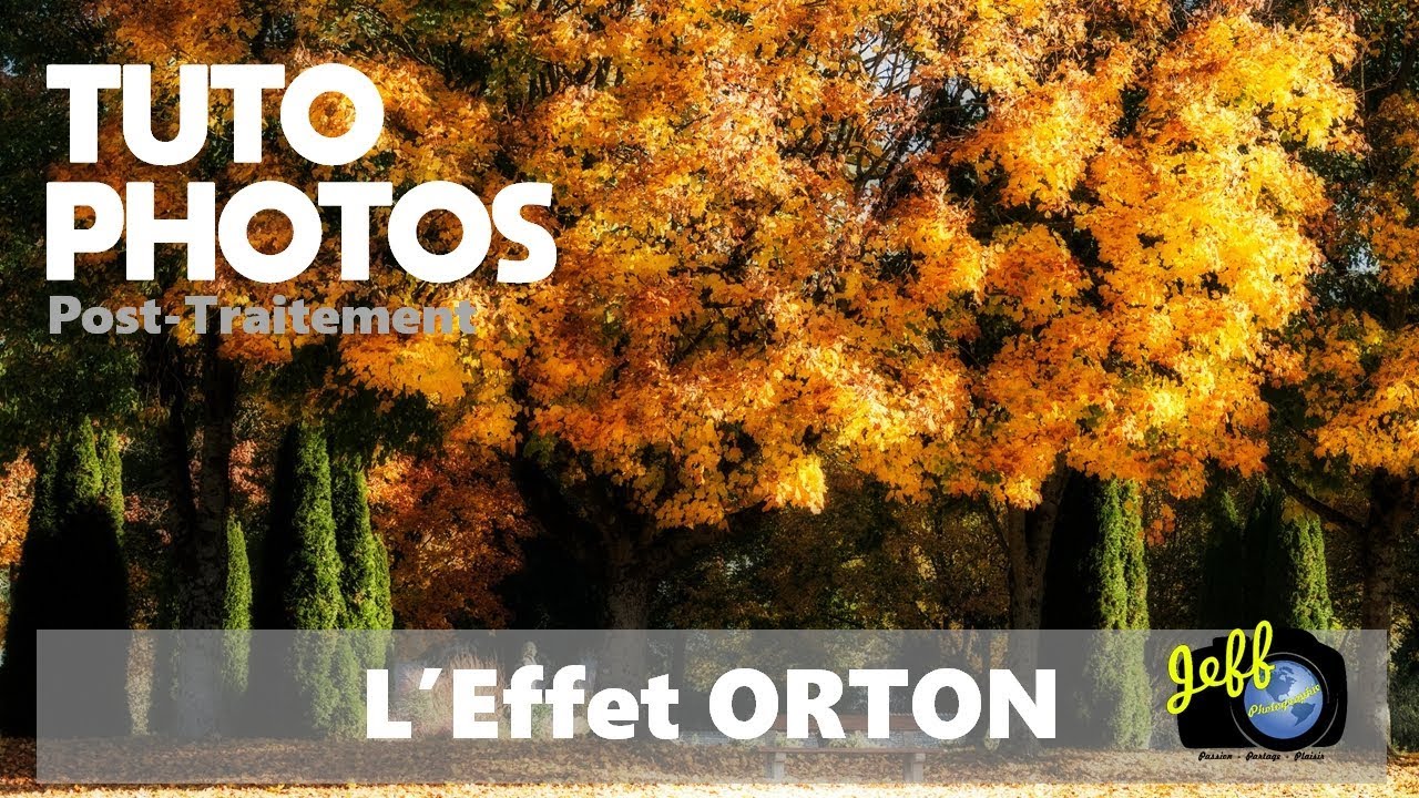 POST-TRAITEMENT : L'EFFET ORTON   Episode n°385