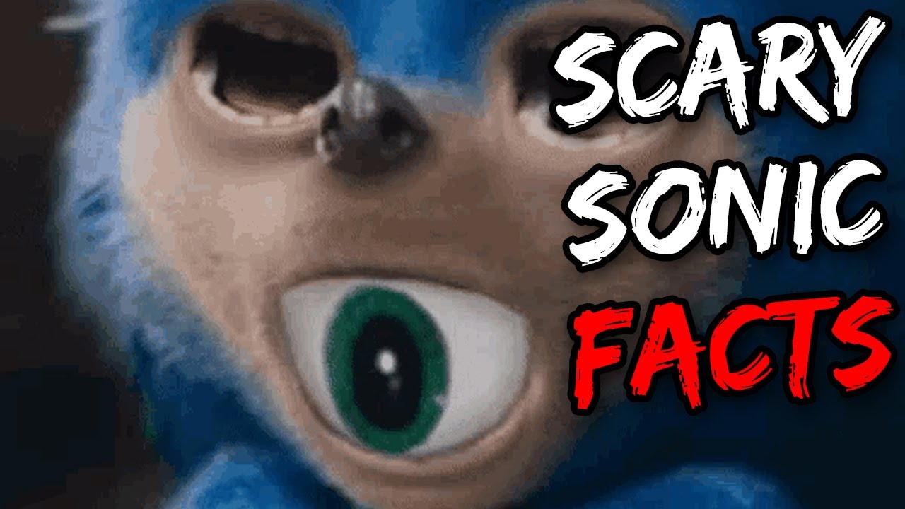 Top 10 Sonic The Hedgehog Character Facts