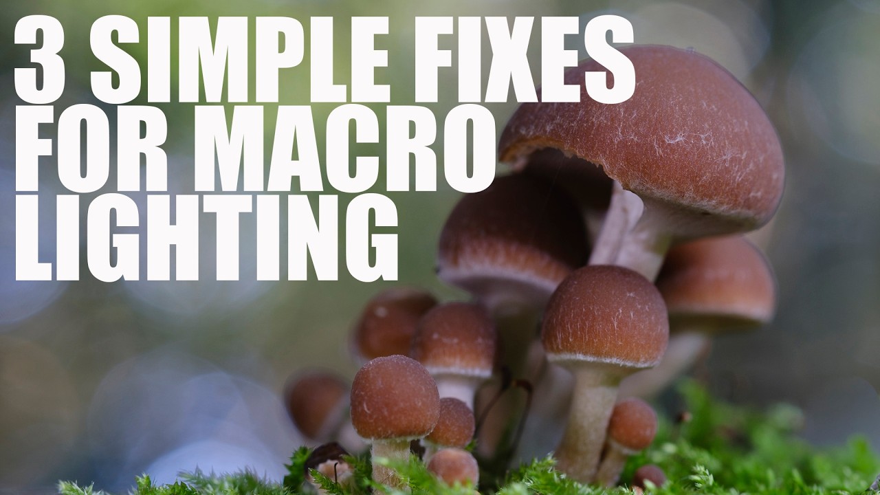 3 Simple Macro Photography Lighting Fixes