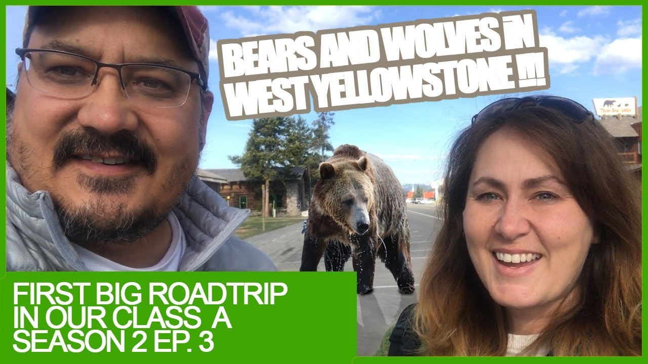 Grizzly & Wolf Discovery Center in West Yellowstone!
