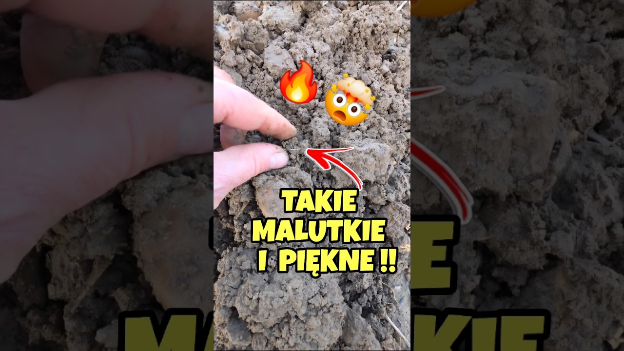 Wow😱Mała i Jakże Ładna Monetka🔥⛏️Wow😱Small and Very Beautiful Coin 🔥⛏️ 