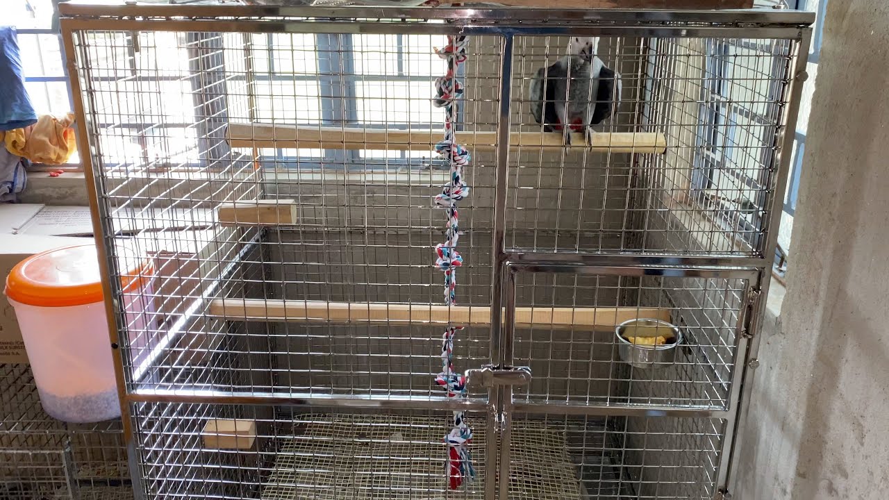 High Quality Stainless Steel Cage for Birds