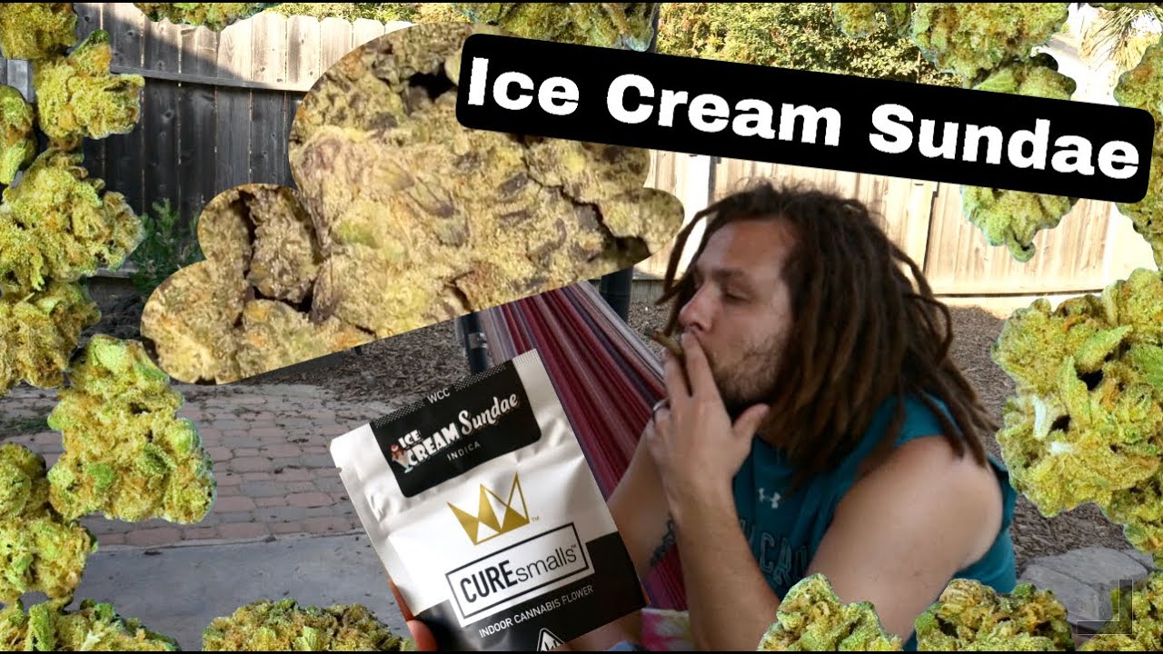 Ice Cream Sundae | West Coast Cure | Stoner Simpson TV Strain Review