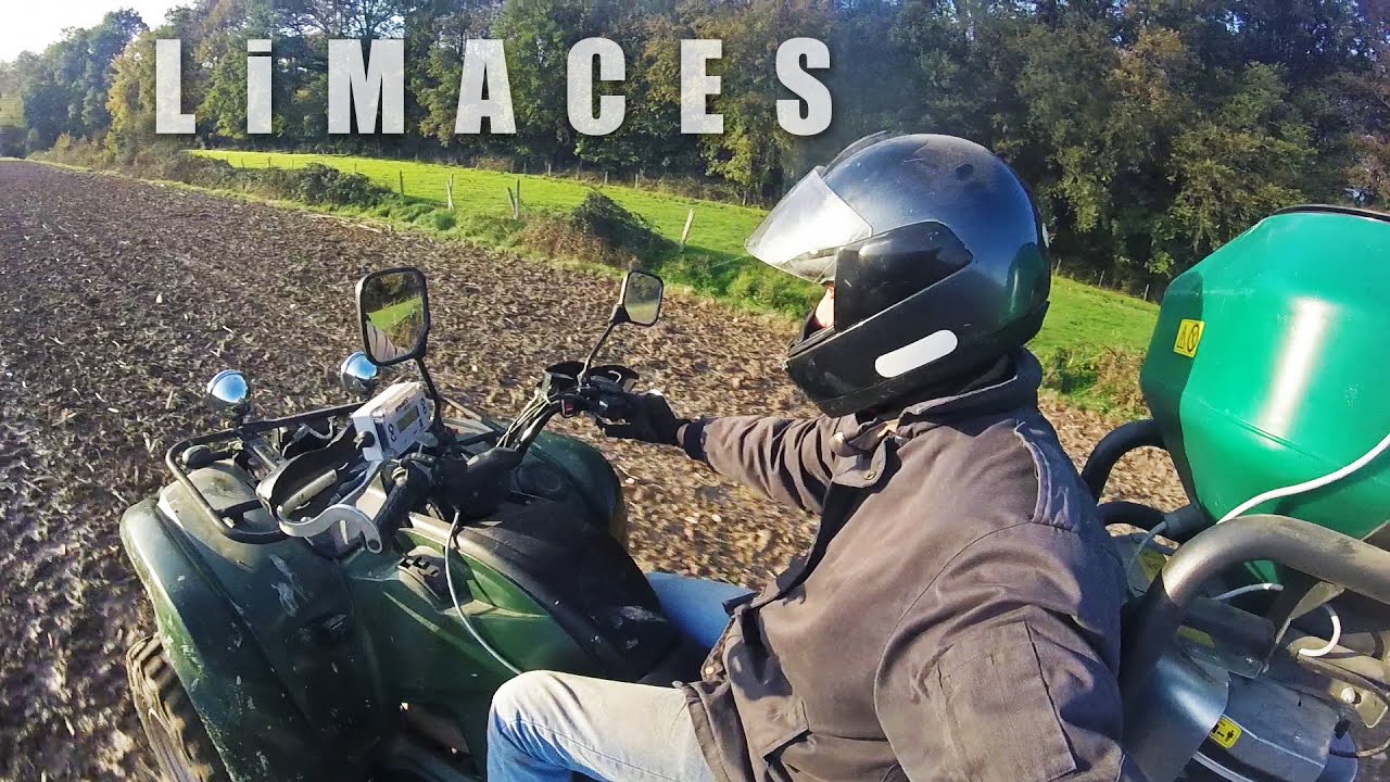 Lutte contre les limaces avec un produit bio (molluscicide) - 2019