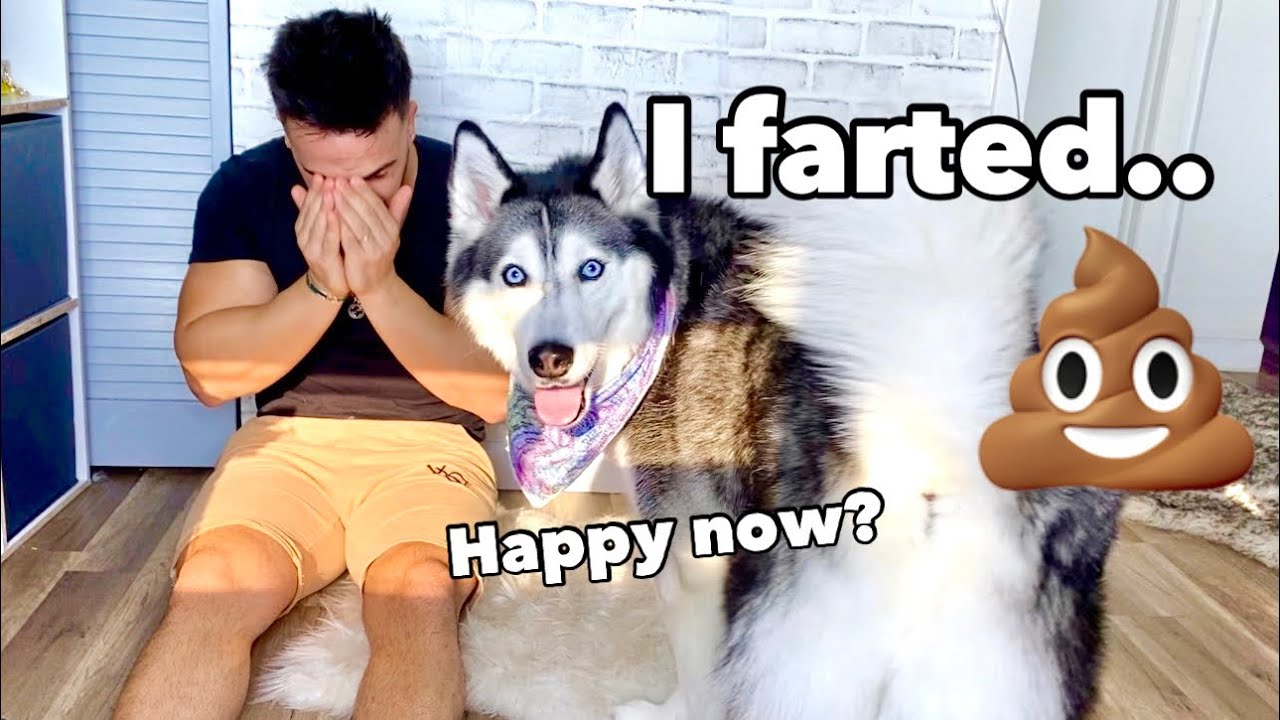 Crying In Front Of My Husky To See Her Reaction! (SO FUNNY)
