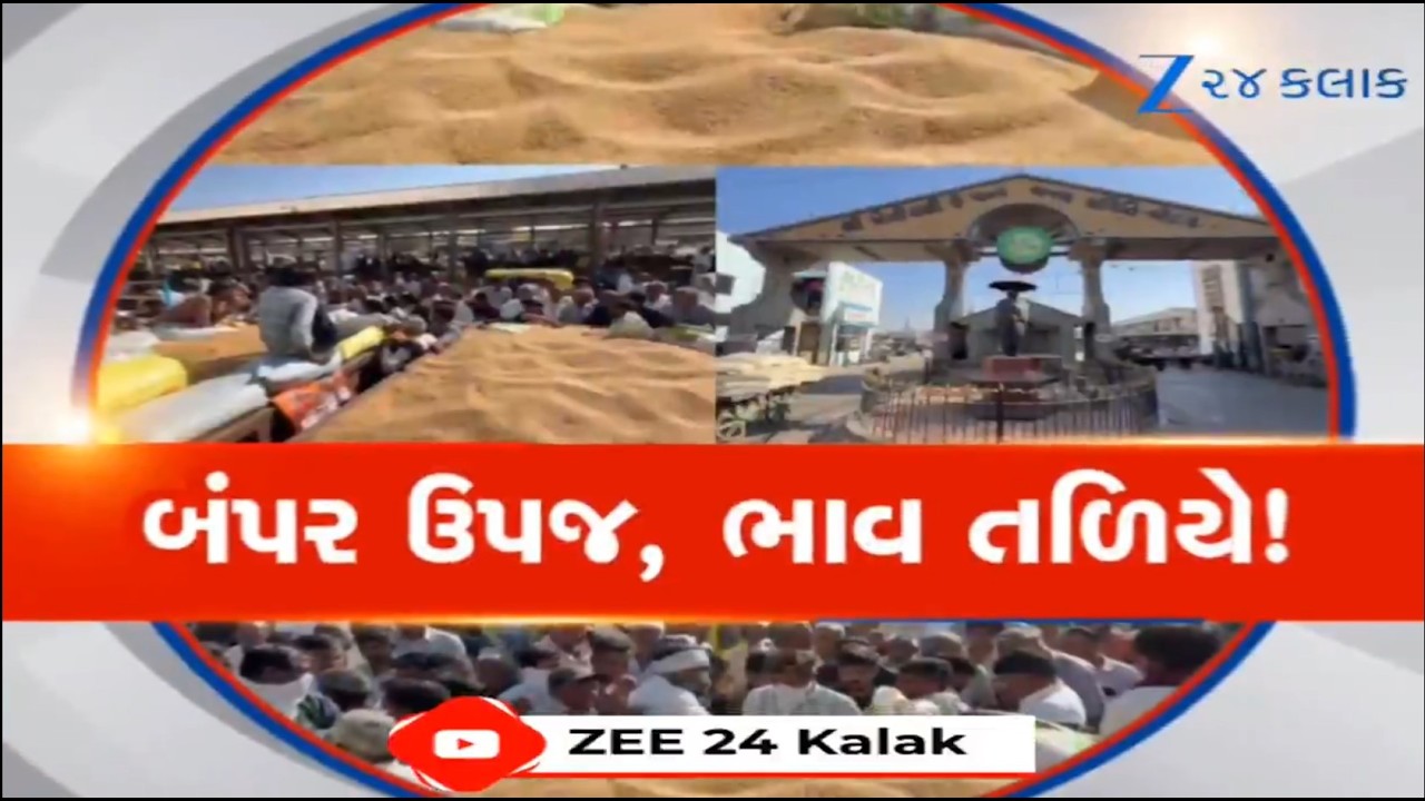Botad જિલ્લામાં આ વર્ષે ઘઉંનું બંપર ઉત્પાદન, હવે Marketing Yardમાં સારા ભાવ ન મળતા ખેડૂતો નારાજ