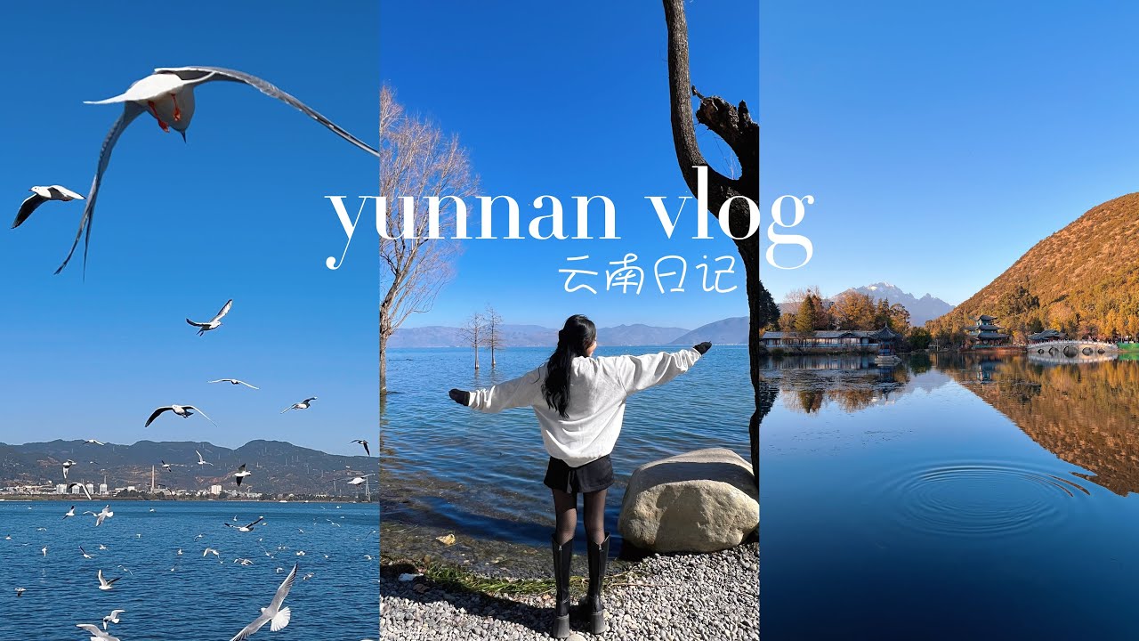 Yunnan vlog 🌿 7 days in China 🇨🇳 | Lijiang, Kunming, Shangri-La