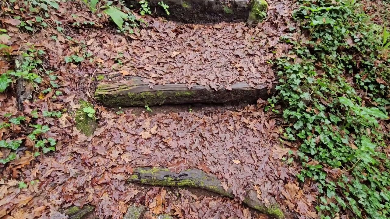 CONOCEMOS LA PARADA OBLIGATORIA DEL CAMINO DE SANTIAGO: A FERVENZA DA RÍA BAROSA 