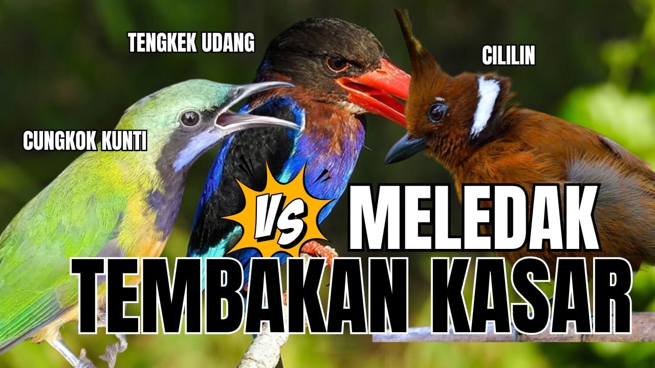 MASTERAN FULL TEMBAKAN 2026 || FULL BESETAN - CUNGKOK GEREJA CILILIN - TEPUS  ||TENGKEK UDANG