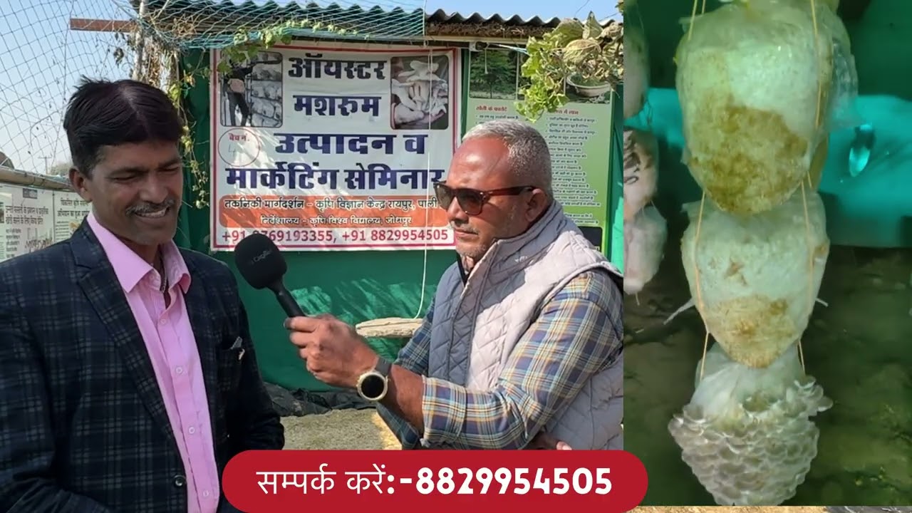 मशरूम की खेती से बदली जा सकती है किस्मतकम लागत में करें शुरुआत, कमाएँ लाखों रुपए