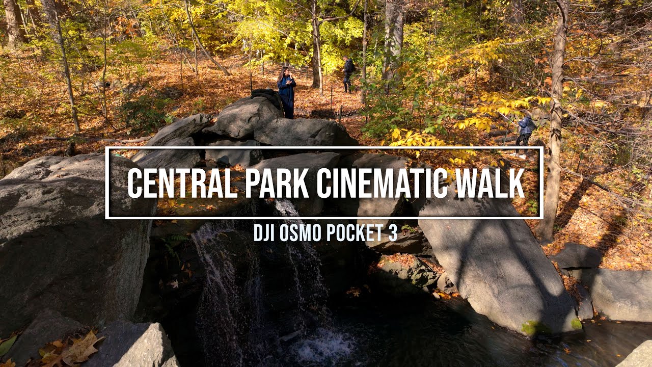 DJI Osmo Pocket 3 - Fall Walk in Central Park - Natural Sounds - 4K DLOG-M