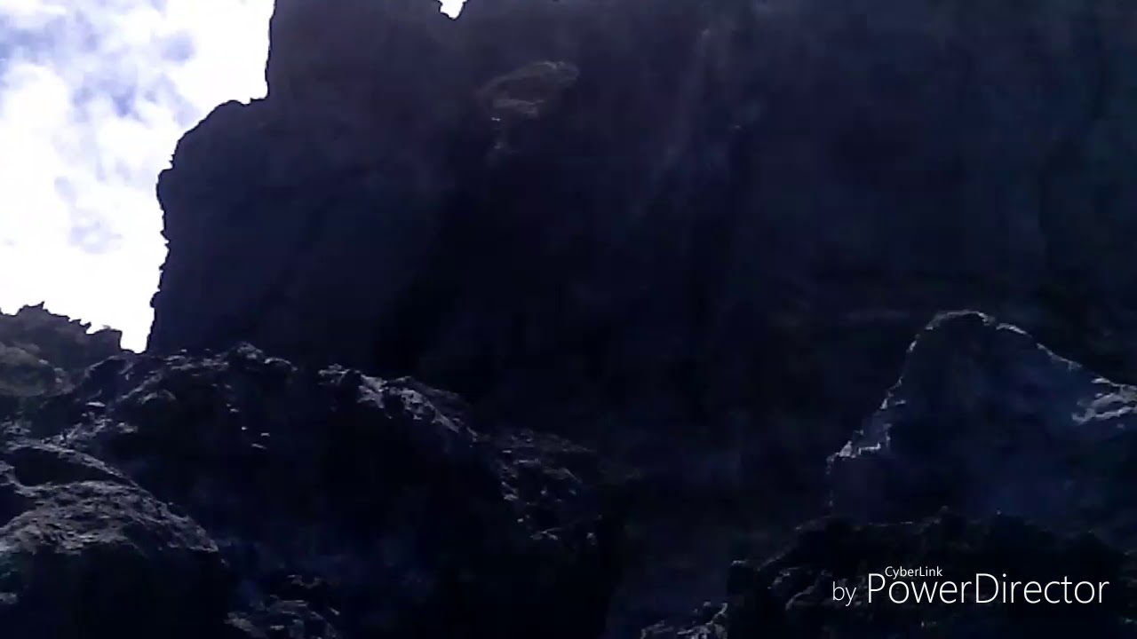 Pesca en tenerife norte