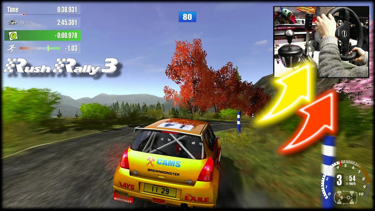 Suzuki Swift ?? Rush Rally 3 / Thrustmaster Wheel + Handbrake + Shifter gameplay