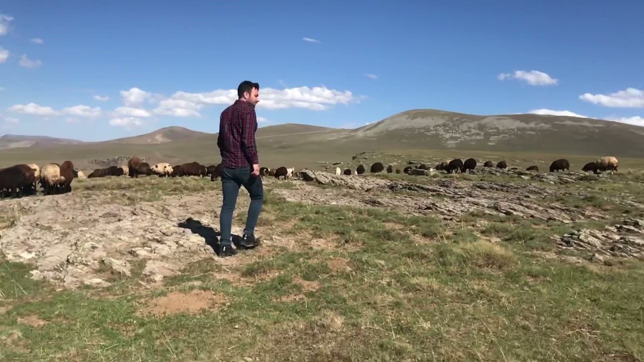 Erzurum#Şenkaya #Allahu Ekber Yaylaları