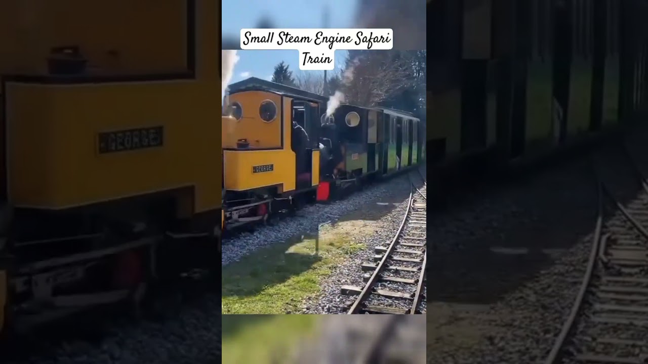 small steam engine safari train