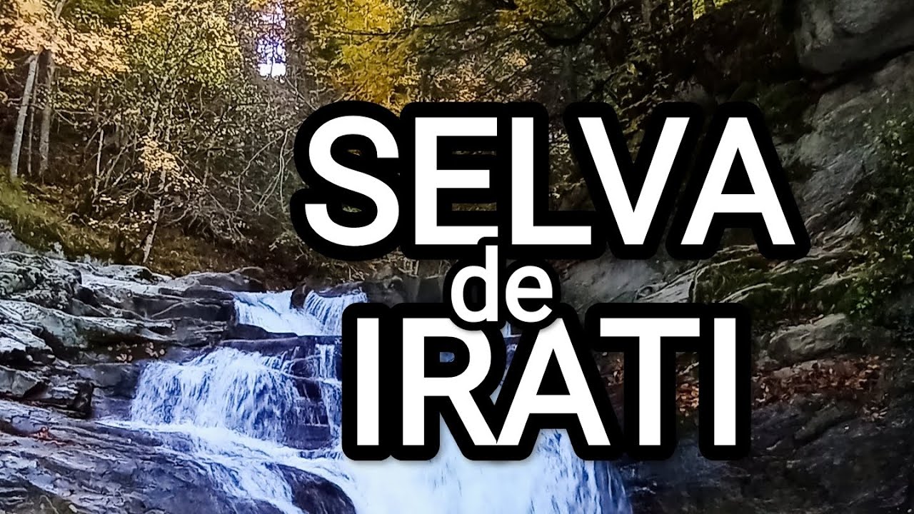 SELVA de IRATI otoñal🍁