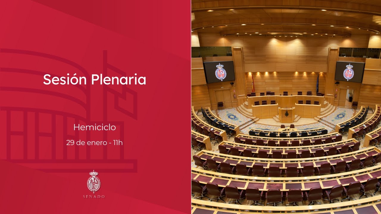 Sesión Plenaria - 29/01/2026 - 11h - sonido sala