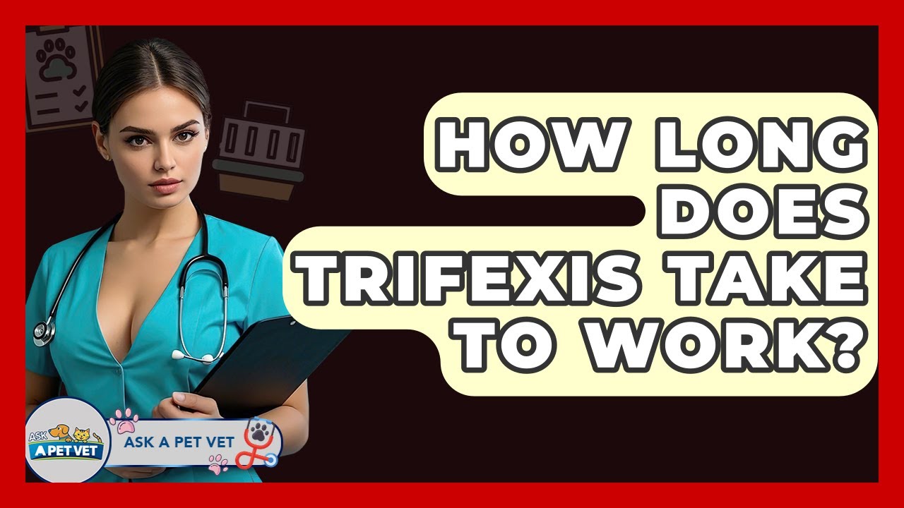 How Long Does Trifexis Take To Work? - Ask A Pet Vet