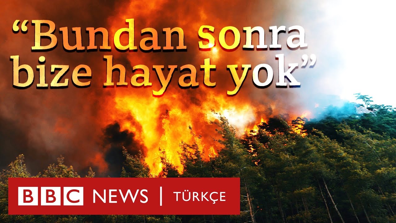 Marmaris’te yangın: Çam ağaçlarının çoğu yandı, arıcılık zor durumda