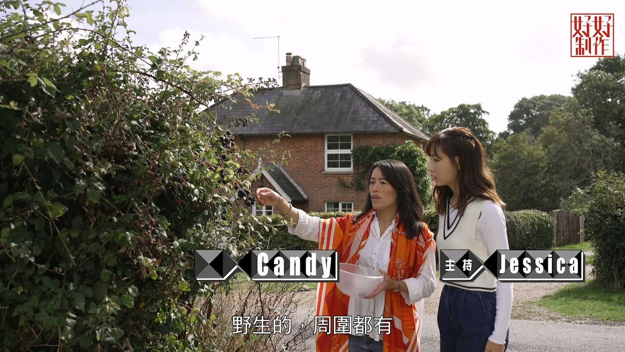 [《離鄉別井的故事》簡淑兒主持EP7]  Candy談及「人在異鄉的痛」女強人也有感性時 #開電視 #好好制作 #離鄉別井的故事 #簡淑兒 #移民英國
