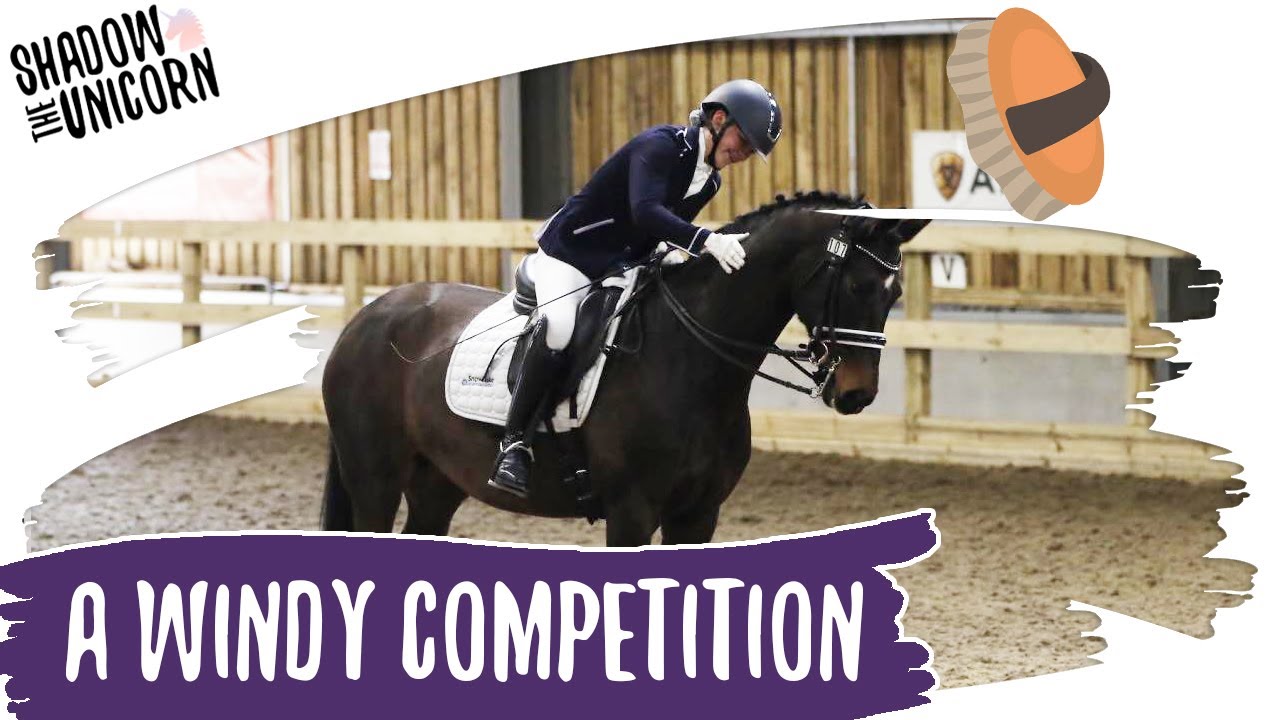 Windy Competition Day! | Shadow the Unicorn
