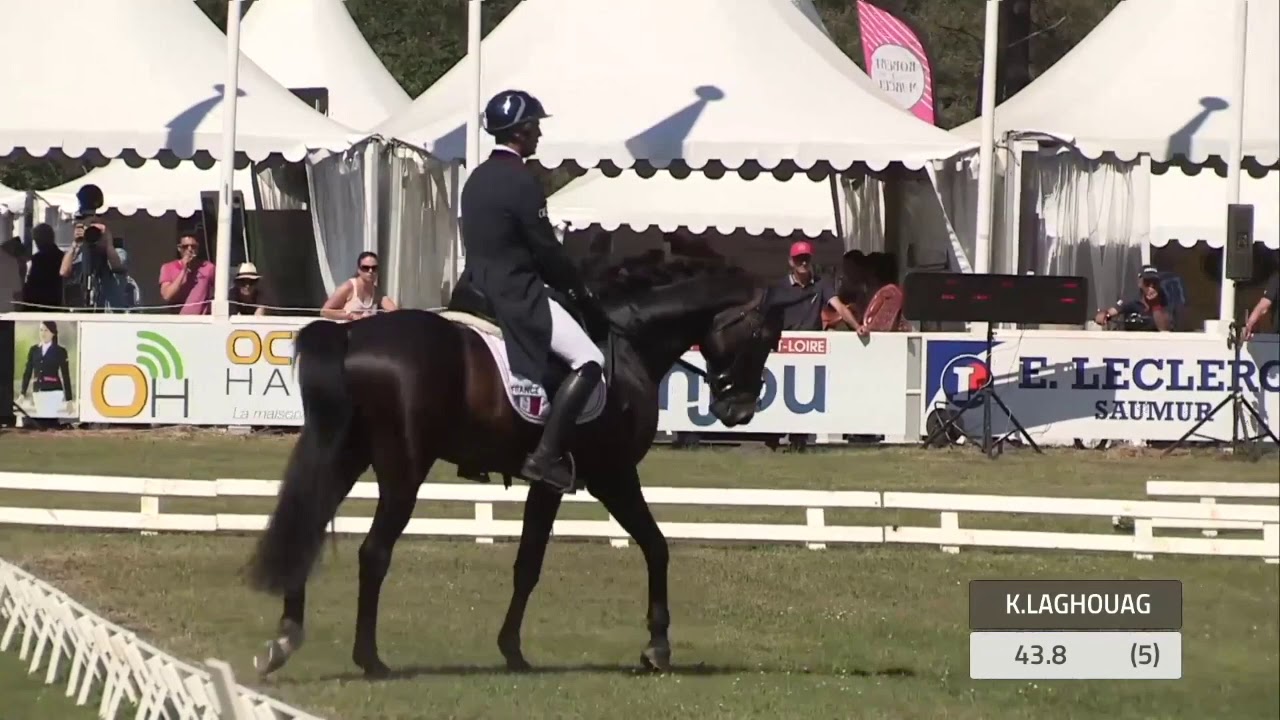 REPRISE DE DRESSAGE | Reprise CCE : Commentées par Isabelle Judet – Juge 5* Internationale