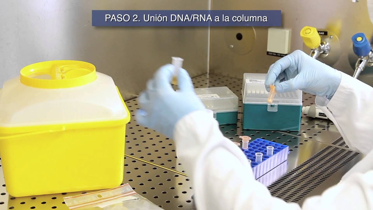 VIASURE Real Time PCR Detection Kits. Extracción de ácidos nucléicos & Protocolo de Iniciación