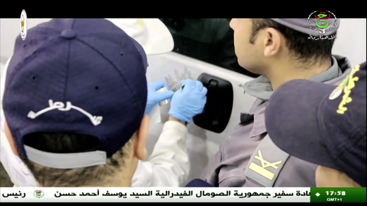 مستغانم: الأمن الوطني يحجز أزيد من 1.6 مليون قرص مهلوس قادمة من ميناء مرسيليا